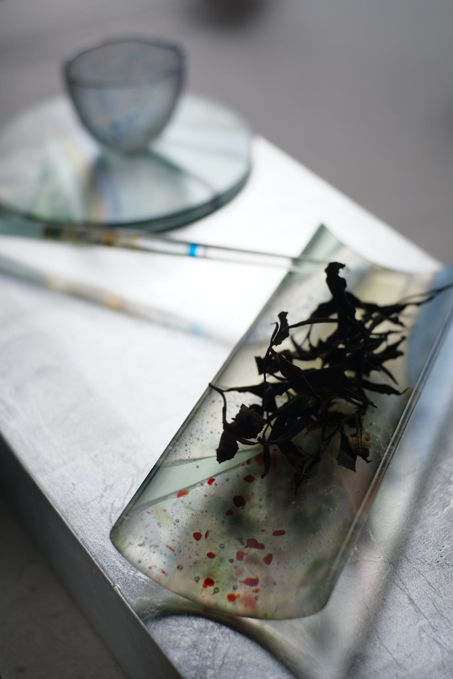 沖田奈央-季景茶則