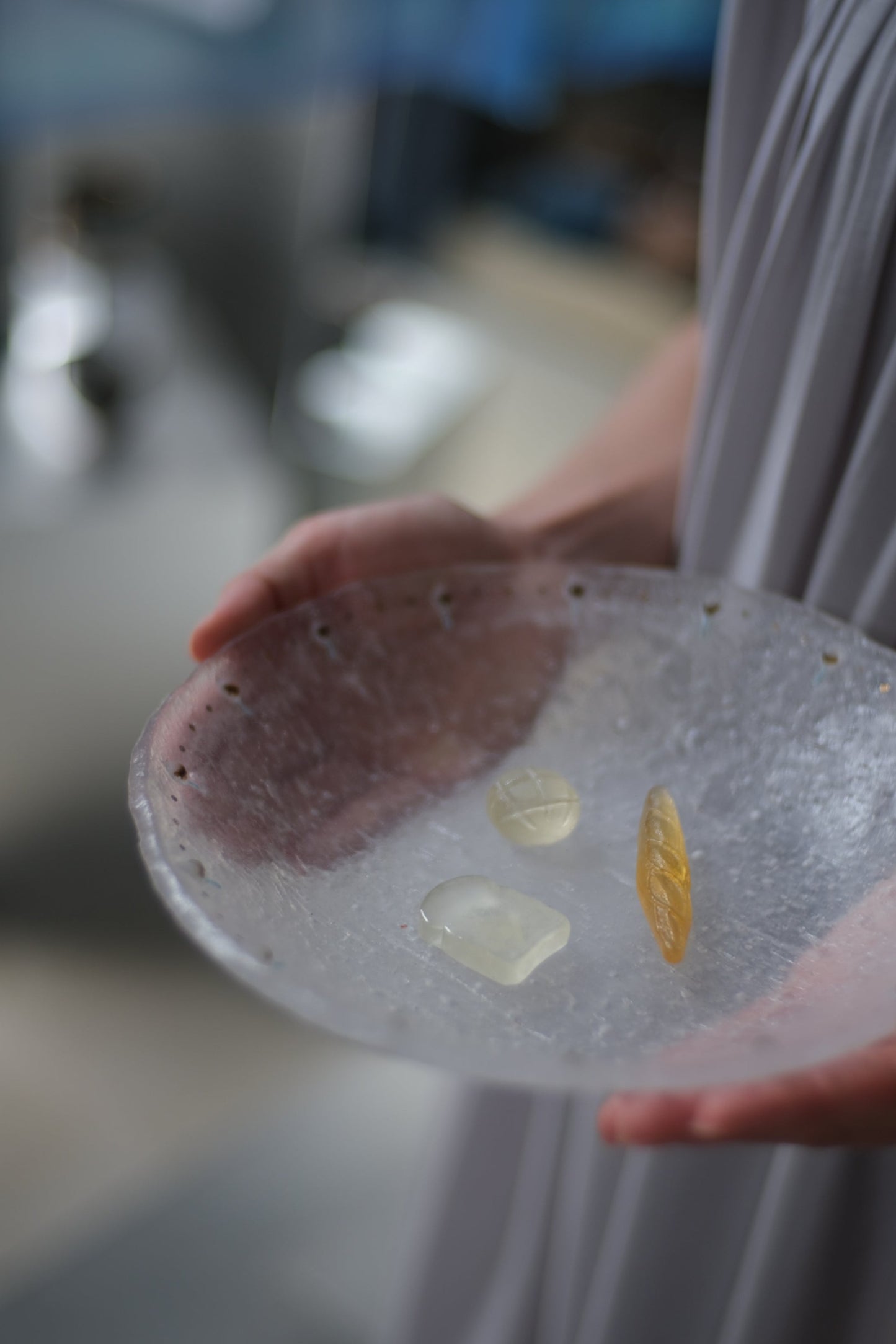 森屋茉莉子-尤加利大盤