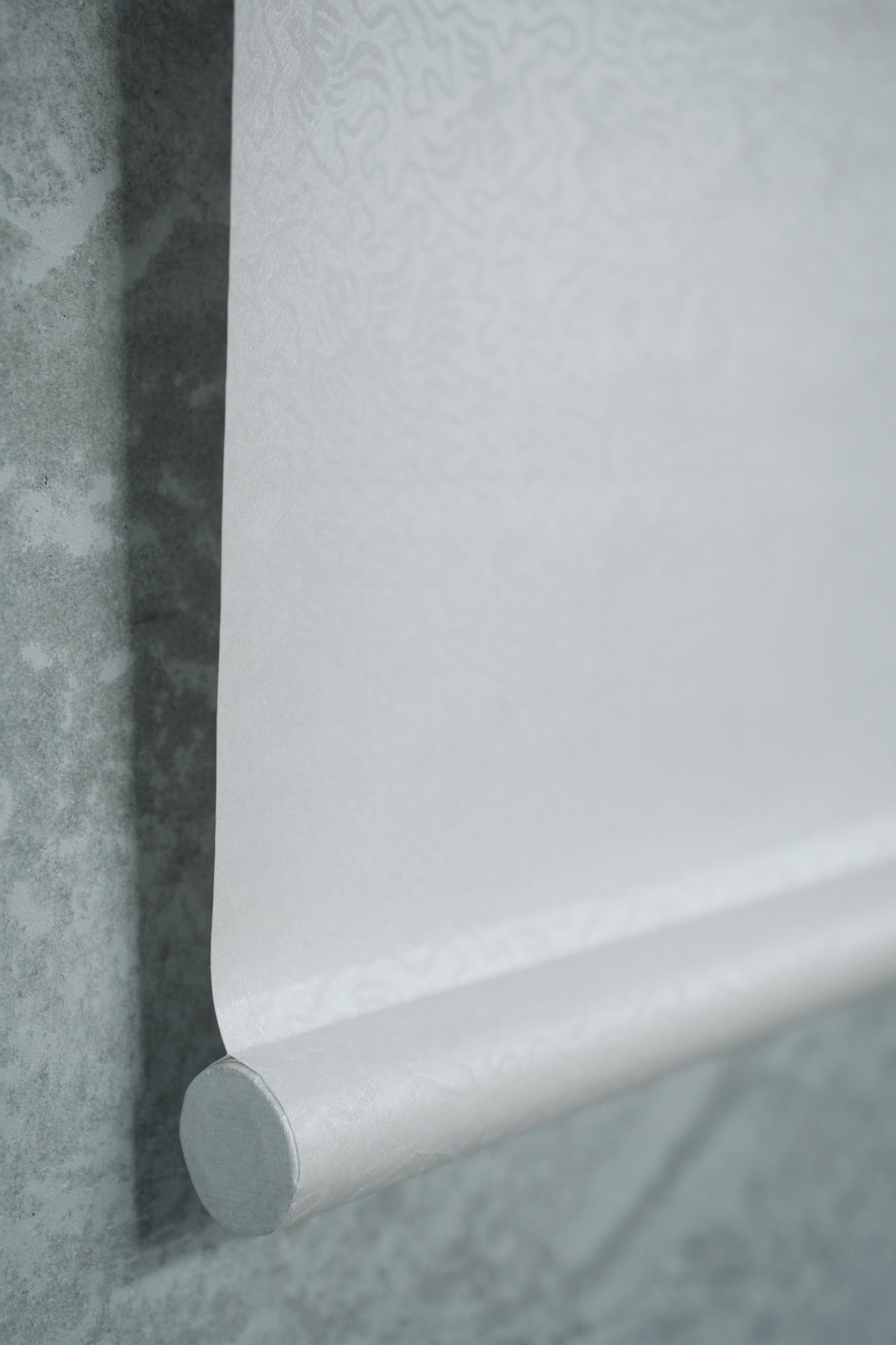 謝小曼書畫作品_美しい暮らし(掛軸)