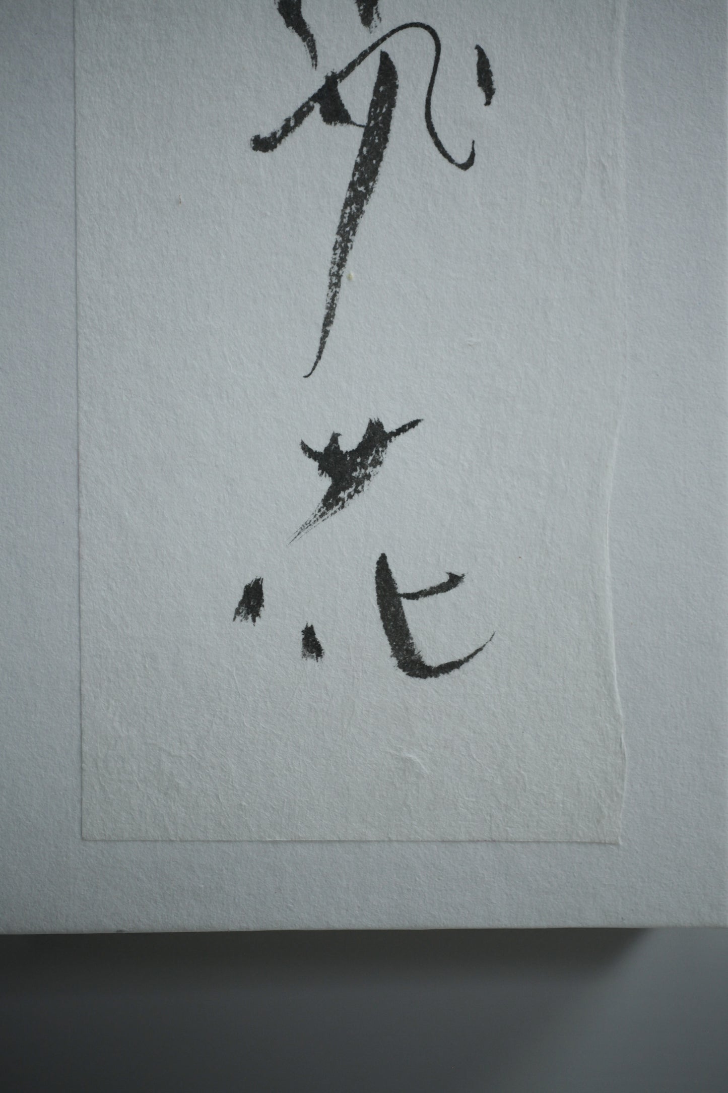 謝小曼書畫作品_春城無處不飛花