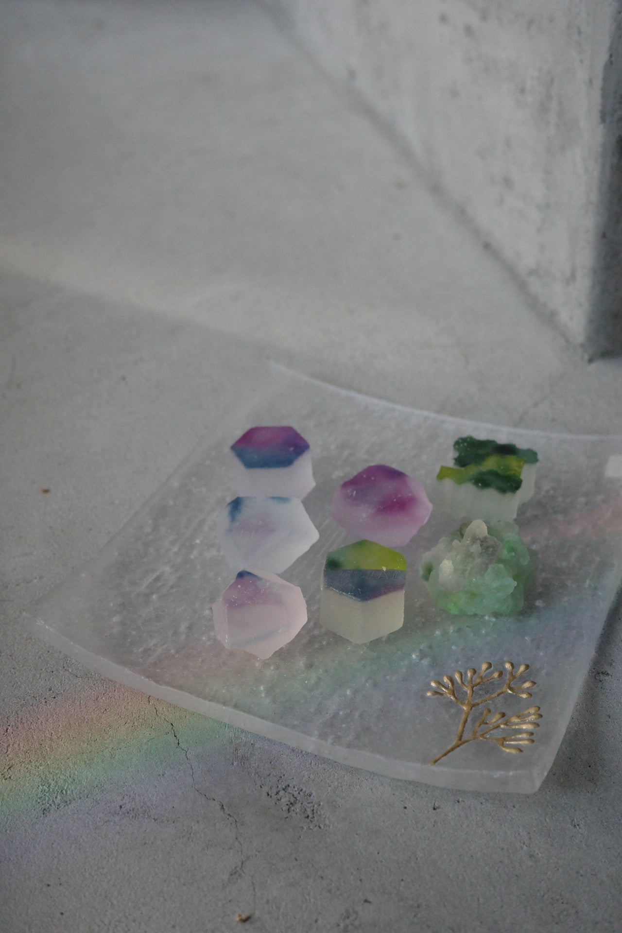 森屋茉莉子-尤加利角皿(大)