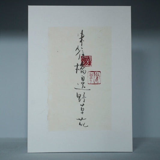 謝小曼書畫作品_朱雀橋邊野草花