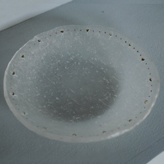 森屋茉莉子-尤加利大盤