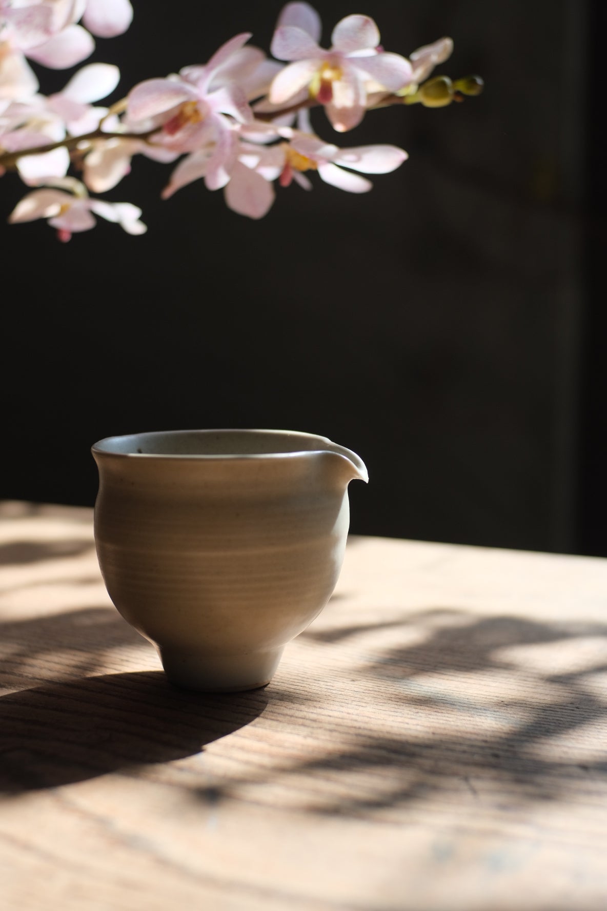 楊育睿 蘭・らん 瓷土茶海 10